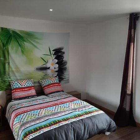 T3 Hyper-Centre Au Calme Tout Equipe Parking Prive Apartamento Castres  Exterior foto